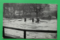 Preview: AK Nürnberg / 5. Februar 1909 / Insel Schütt / Hochwasser Katastrophe